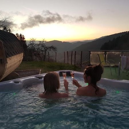 Ferienhaus Wendelinus Mit Pool & Sauna ハウザッハ エクステリア 写真
