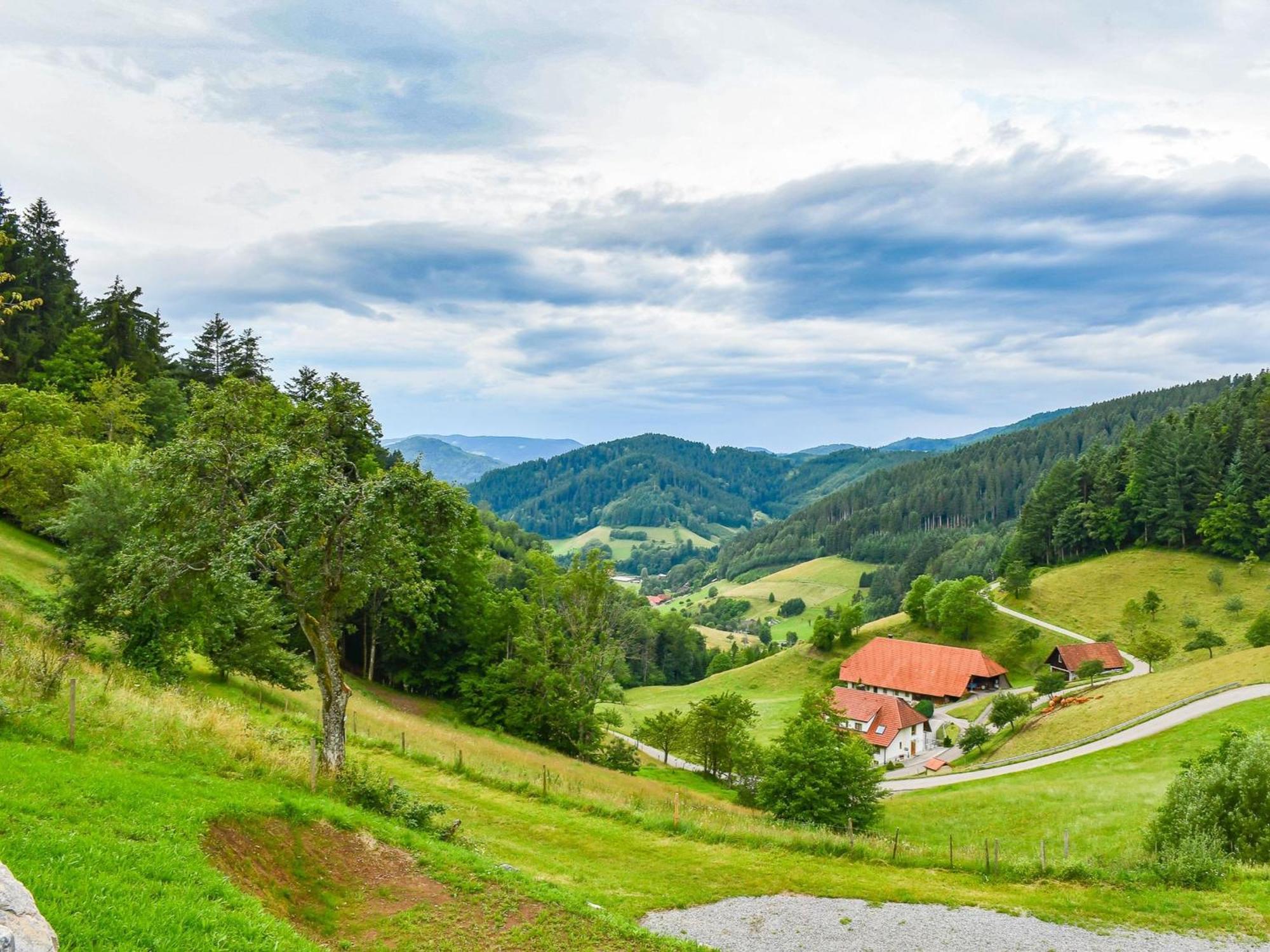 Ferienhaus Wendelinus Mit Pool & Sauna ハウザッハ エクステリア 写真