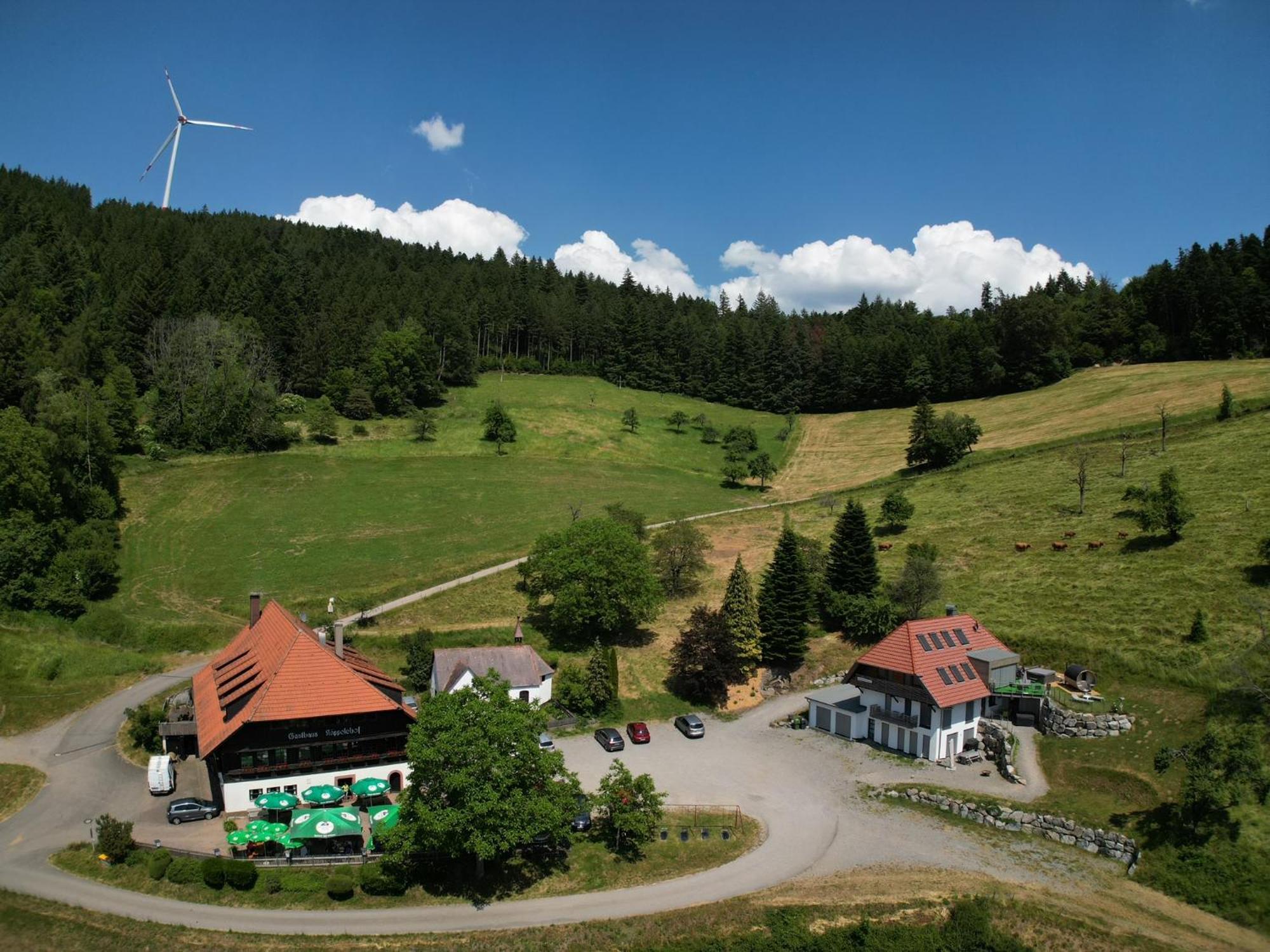 Ferienhaus Wendelinus Mit Pool & Sauna ハウザッハ エクステリア 写真